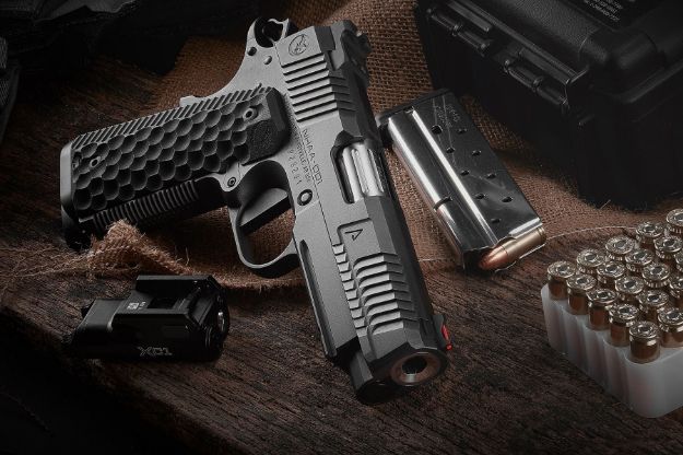 Picture of Nighthawk Custom Agent 1